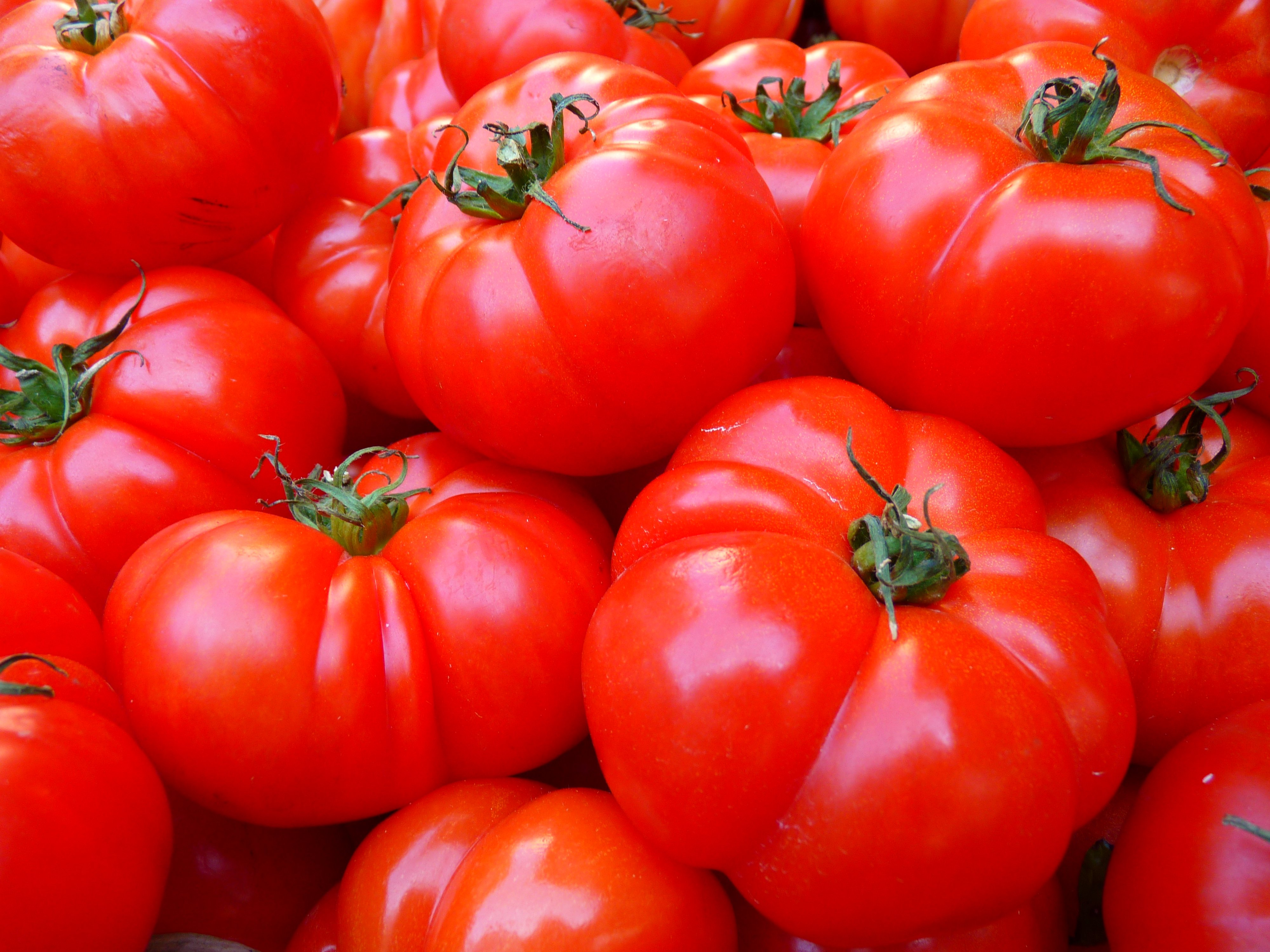 Алексей Елаев: Цены на огурцы и помидоры зимой пока назвать не могу