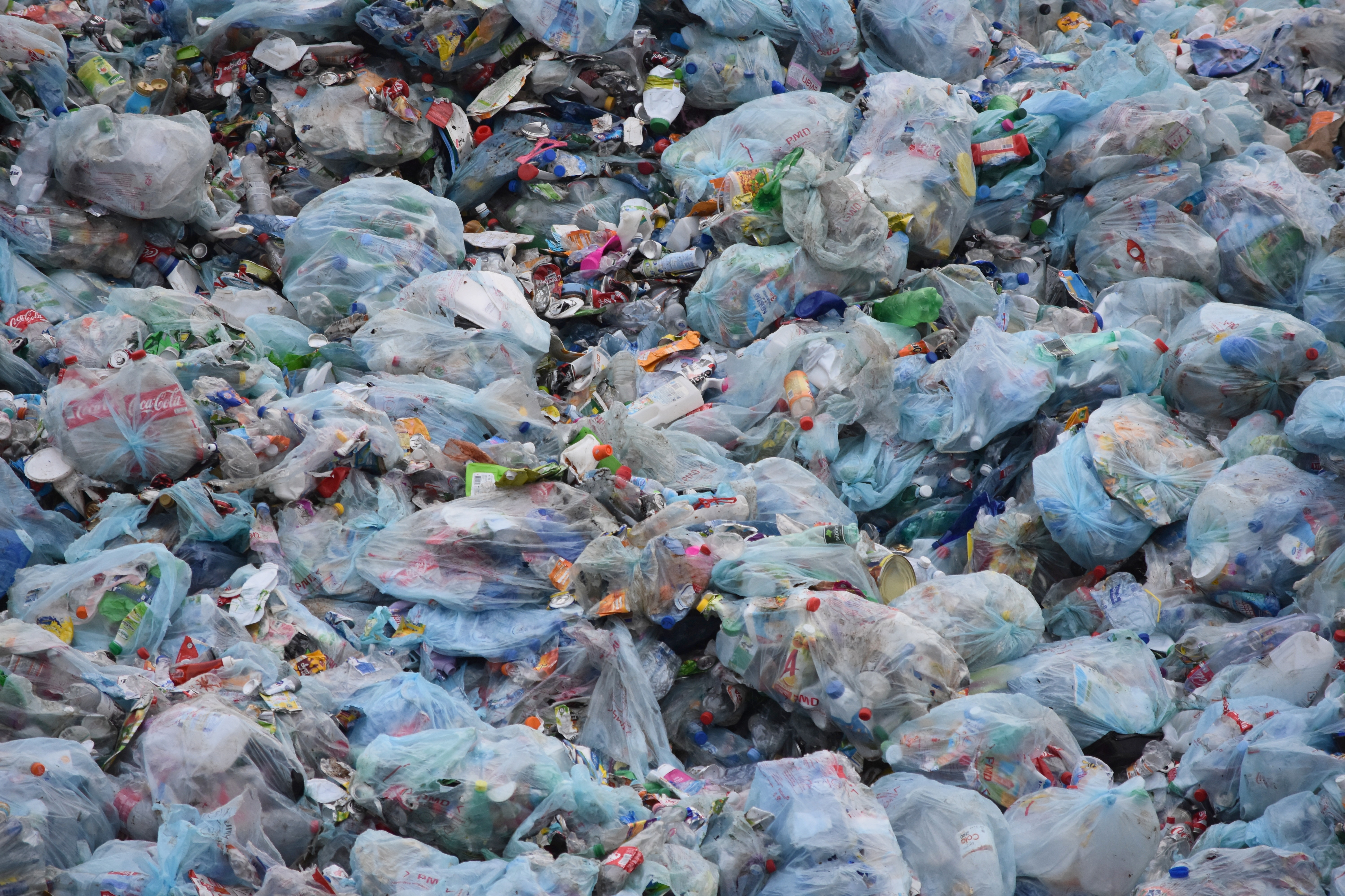 Эколог: Запах от свалки под Советском появился из-за большого объема отходов