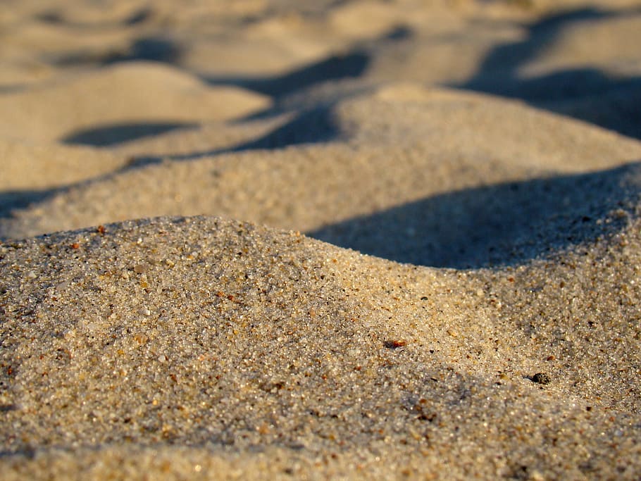 Россельхознадзор нашел в Калининградской области два нелегальных песчаных карьера