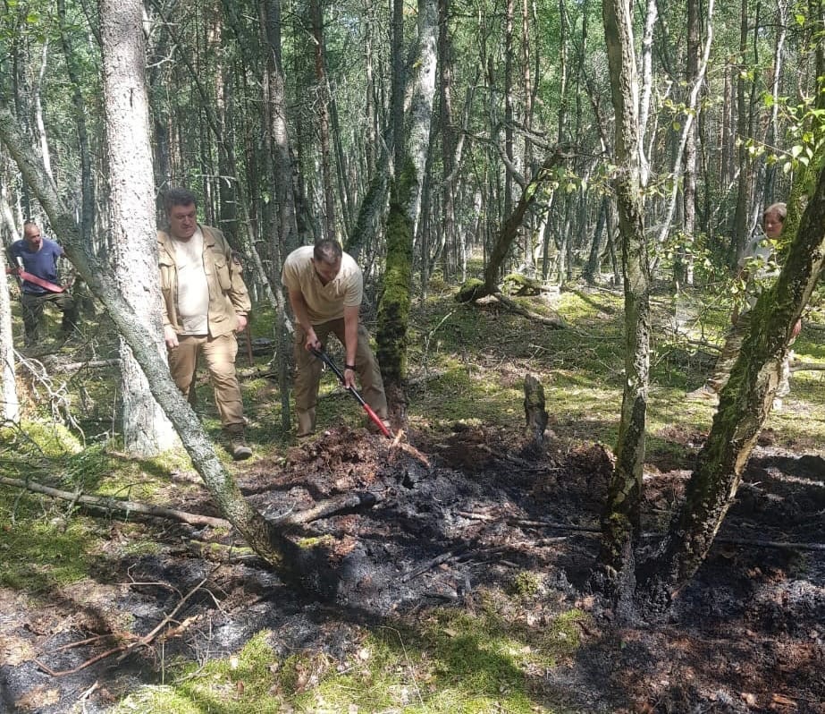На Куршской косе предотвратили лесной пожар