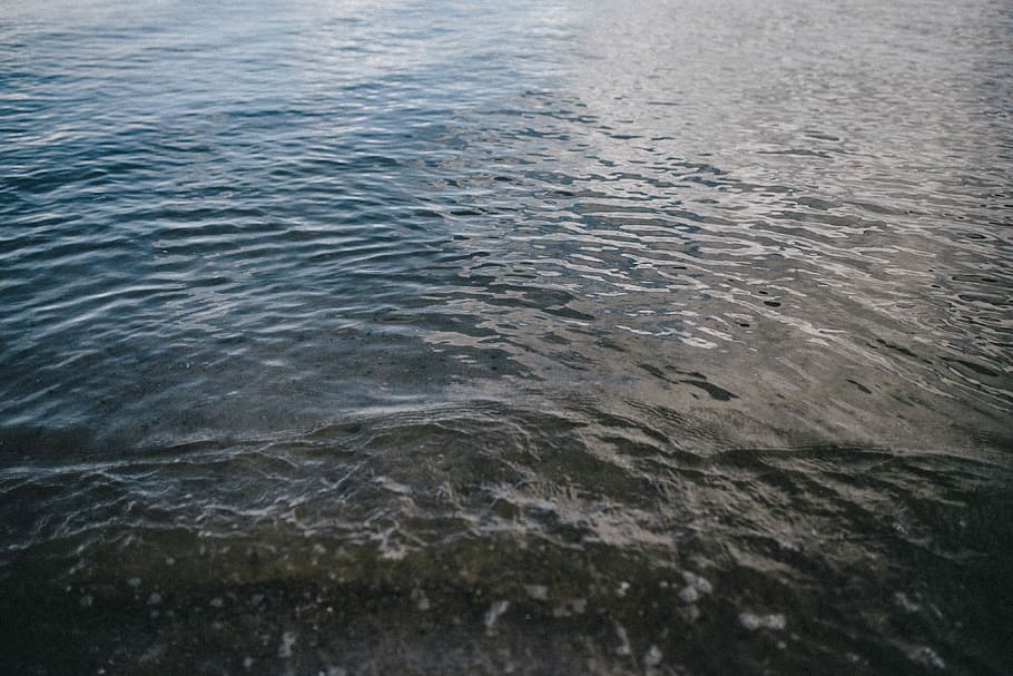 В Гусеве и Озерске в местах Крещенских купаний нашли загрязнение