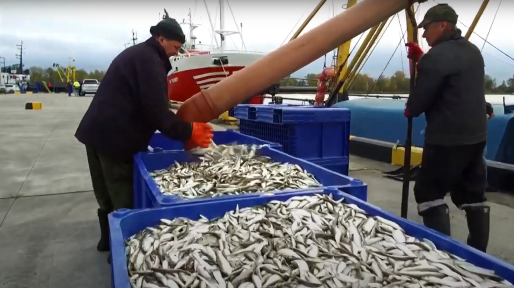 Лютаревич: Мы вынуждены вернуть цены на рыбную продукцию на уровень января 2022 года